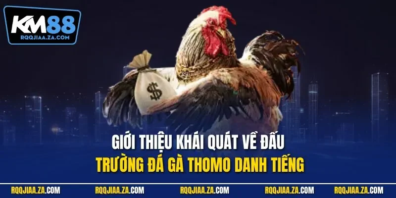 Giới thiệu khái quát về đấu trường đá gà Thomo danh tiếng